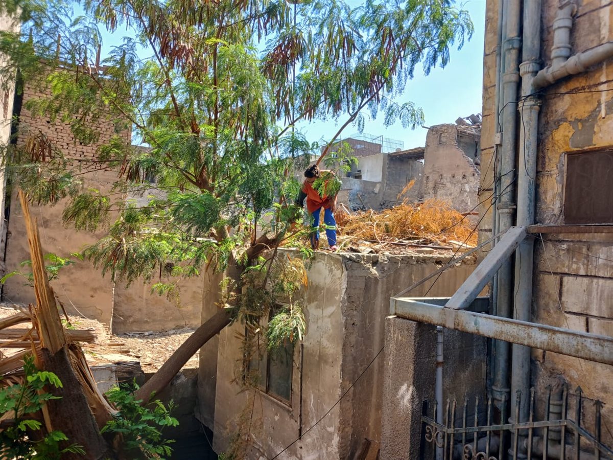 بدء حملة لنظافة الأسطح بحي وسط القاهرة من شارع المعز