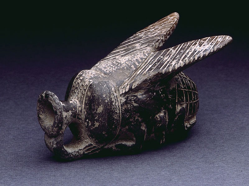 وعاء فريد على هيئة ذبابة