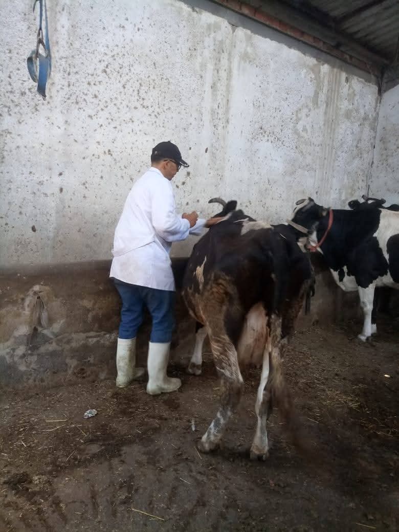 الجهود التنفيذية ببورسعيد 