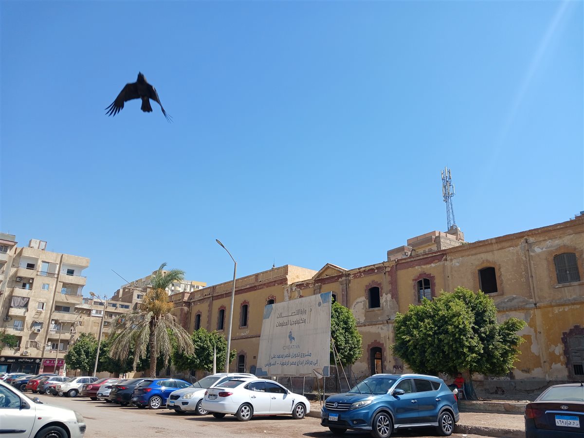 قصر محمد علي في السويس