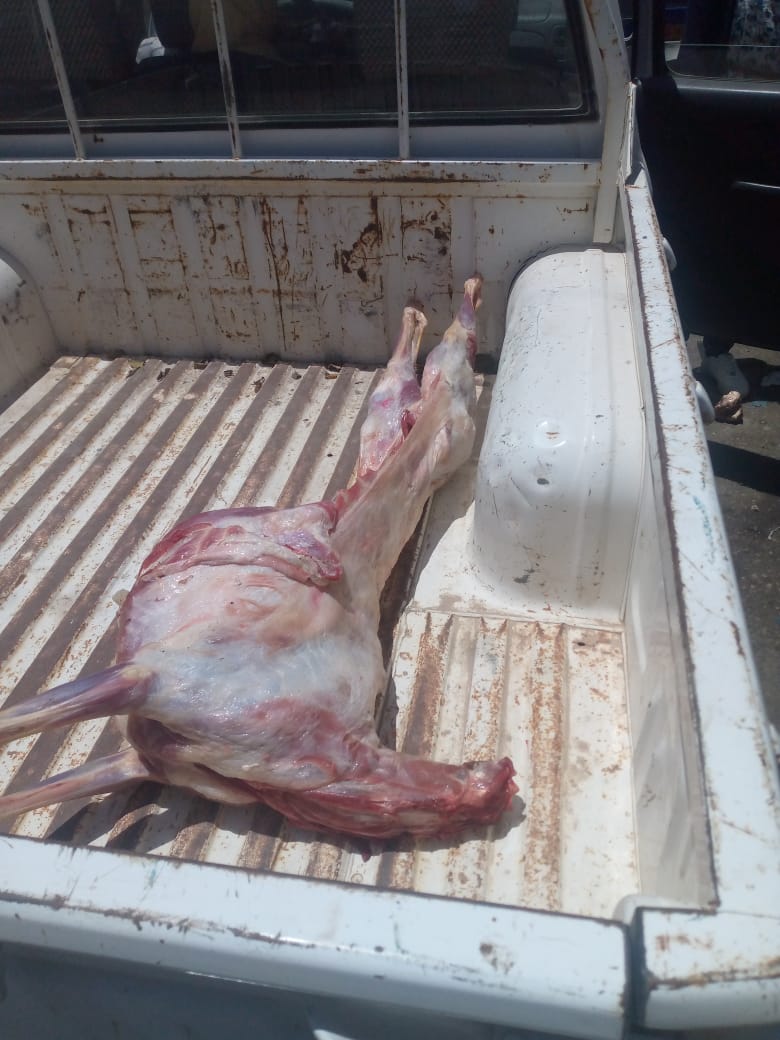 جانب من المضبوطات 