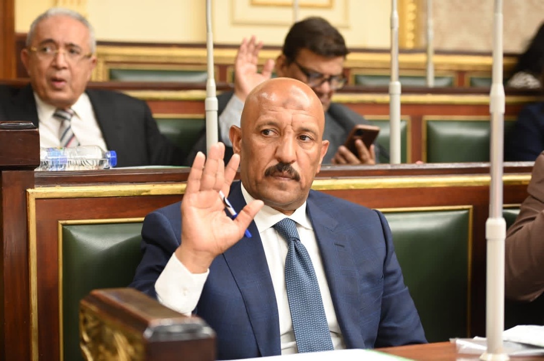 النائب أحمد الحديدي