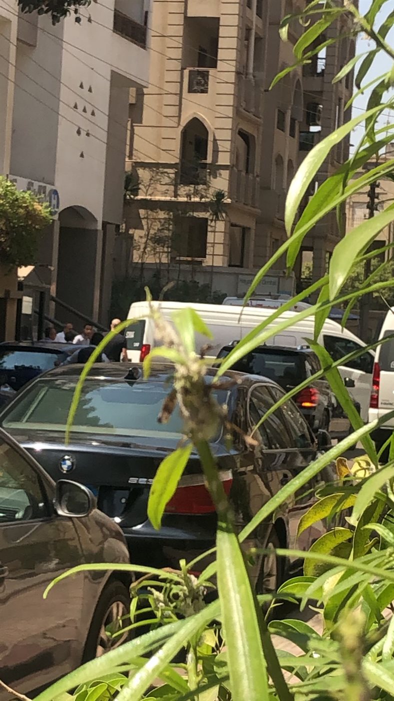 جثمان لطفي لبيب