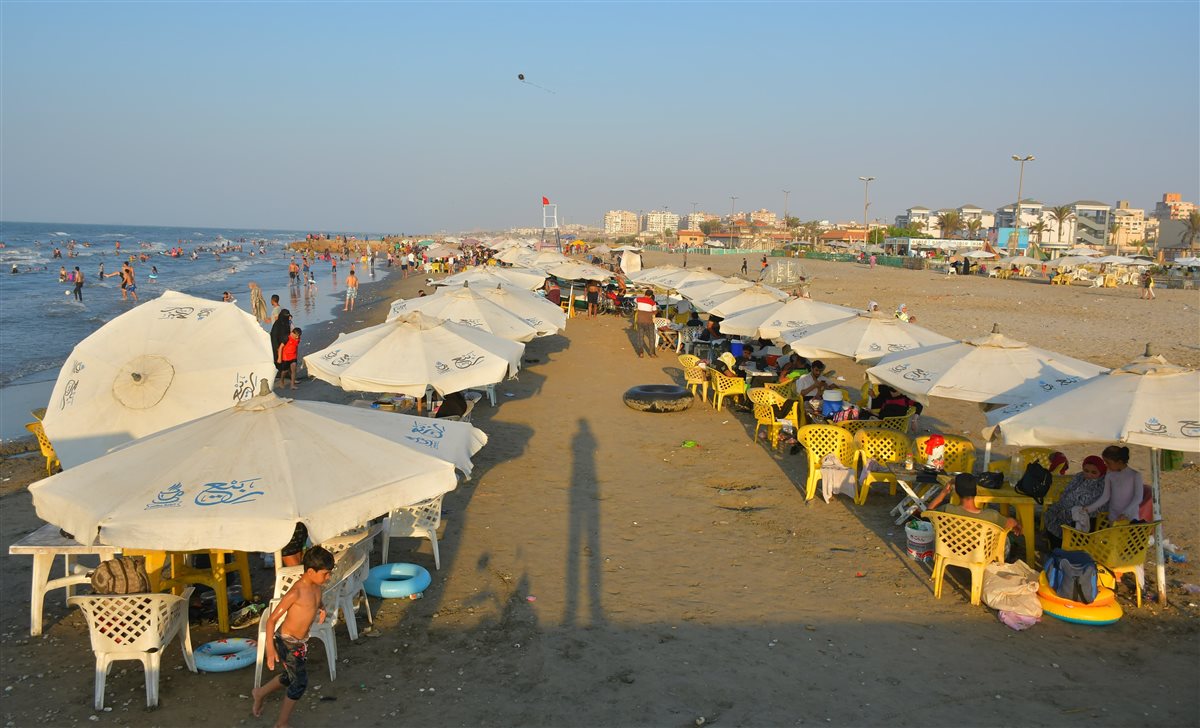 الجهود التنفيذية ببورسعيد 