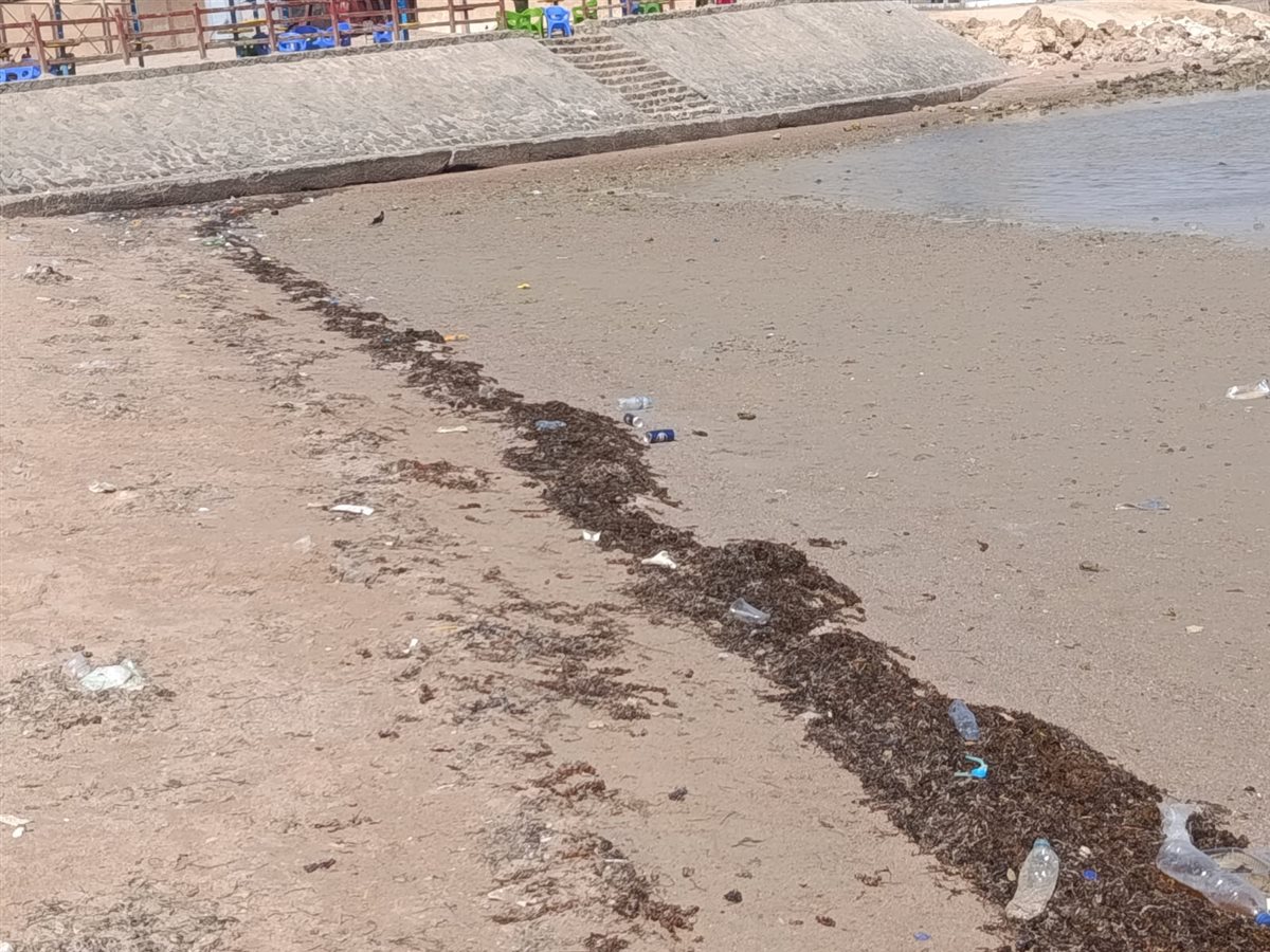 تراجع وانحسار لمياه البحر بالغردقة 