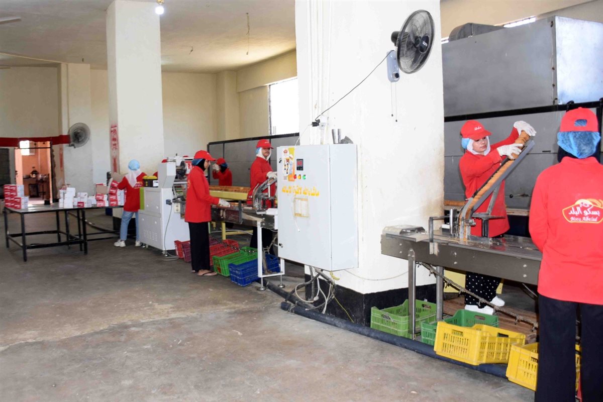 محافظ الأقصر وجولة بالمنطقة الصناعية بالبغدادي