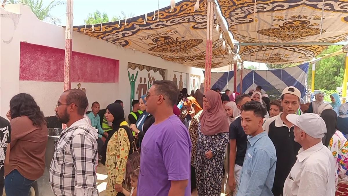 لجان انتخابات الشيوخ في الوادى الجديد 