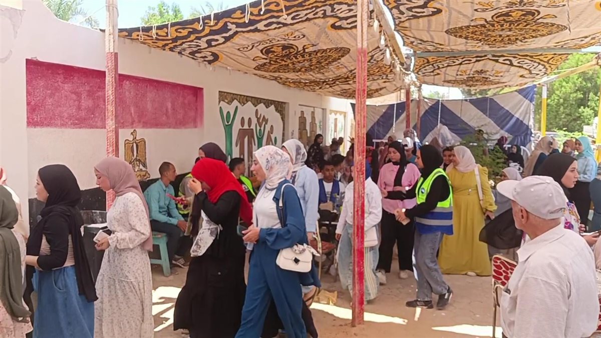 لجان انتخابات الشيوخ في الوادى الجديد 