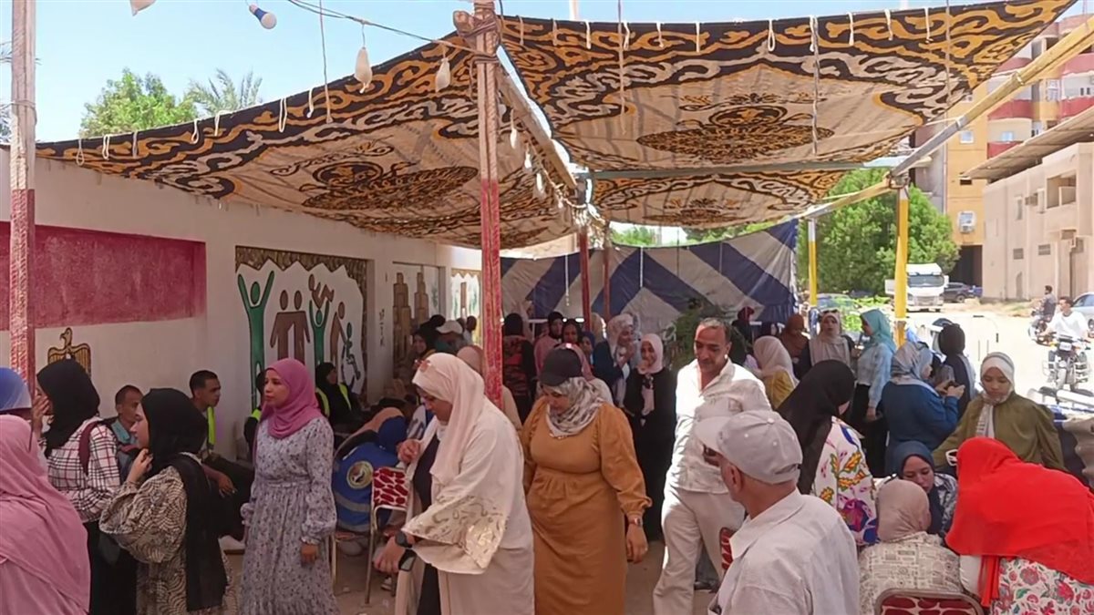 لجان انتخابات الشيوخ في الوادى الجديد 