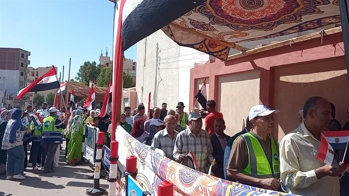 لجان انتخابات الشيوخ في الوادى الجديد 