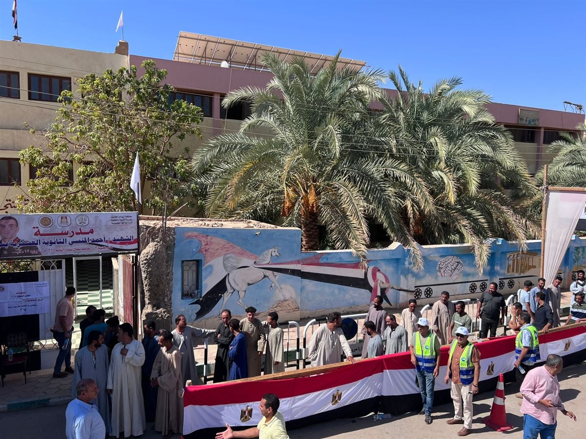 لجان انتخابات الشيوخ في الوادى الجديد 