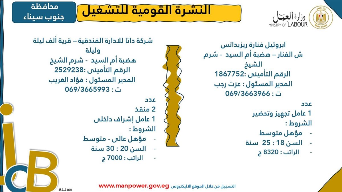 وظائف وزارة العمل