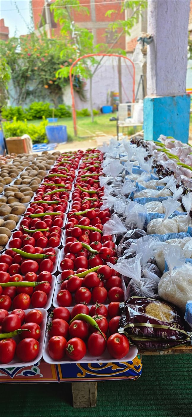 مبادرة زاد للمتعففين بقرية زاوية جروان بالمنوفية