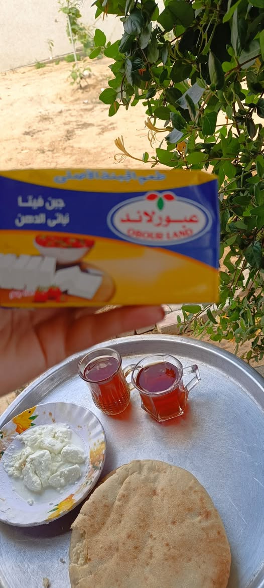 جبنة مصرية في غزة