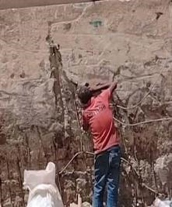 جانب من الواقعة 