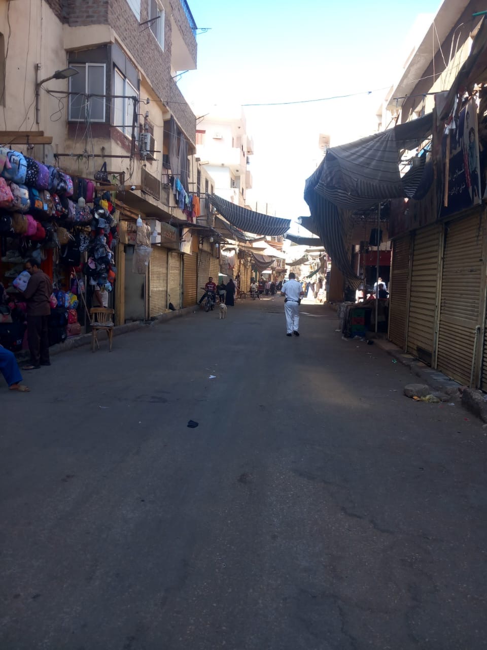 حملات مرافق مكثفة بالأقصر