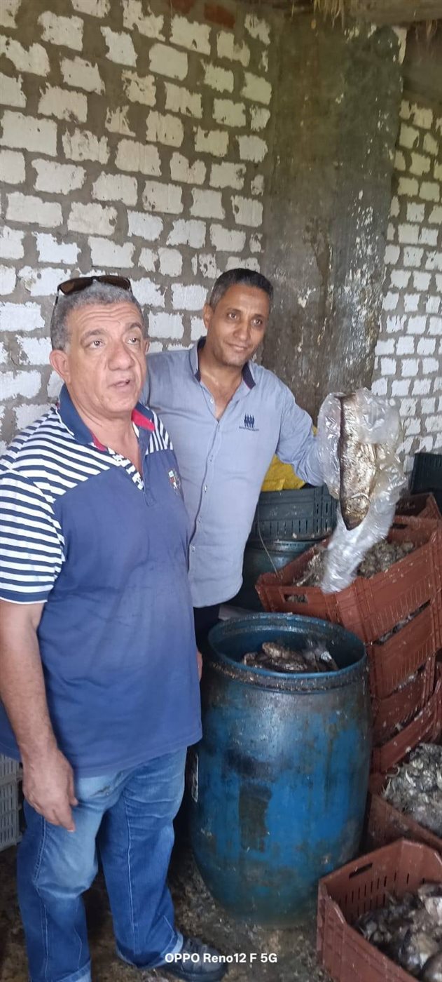 ضبط أسماك مملحة غير صالحة للإستهلاك الأدمي