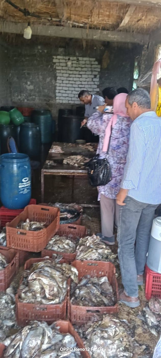 ضبط أسماك مملحة غير صالحة للإستهلاك الأدمي