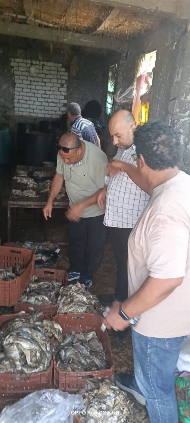 ضبط أسماك مملحة غير صالحة للإستهلاك الأدمي