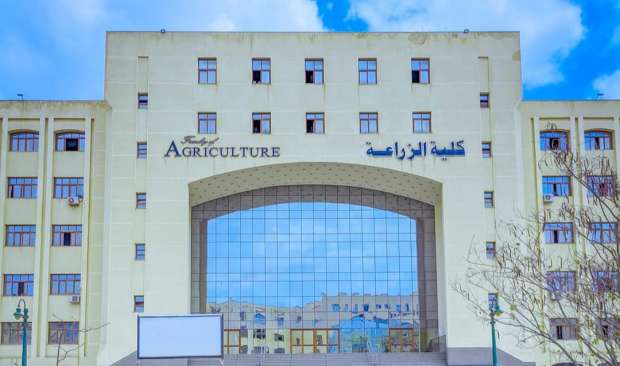 كلية الزراعة جامعة المنصورة وأقسامها