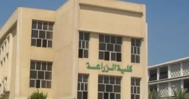 تنسيق كلية الزراعة جامعة المنصورة 2025