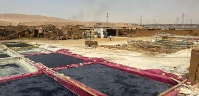 <strong>إدارة مصنع لإنتاج أسمدة زراعية غير صالحة للاستخدام بالجيزة</strong>