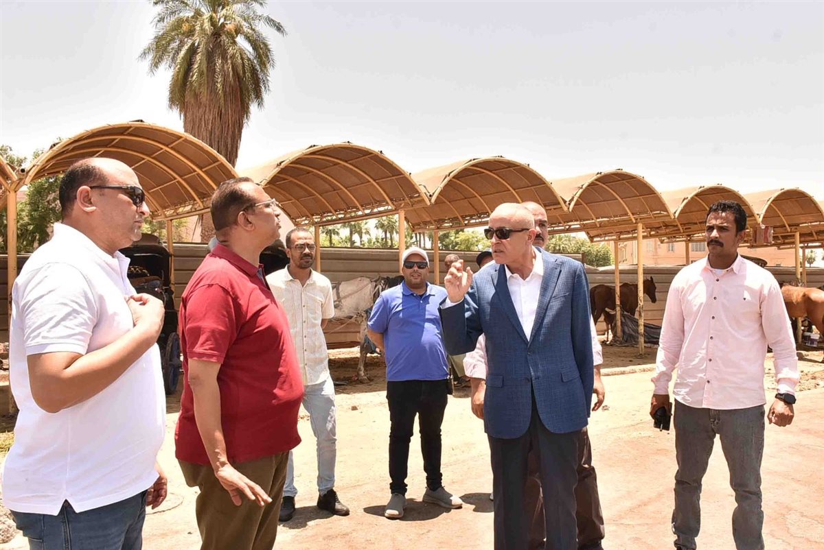 جولة محافظ الأقصر