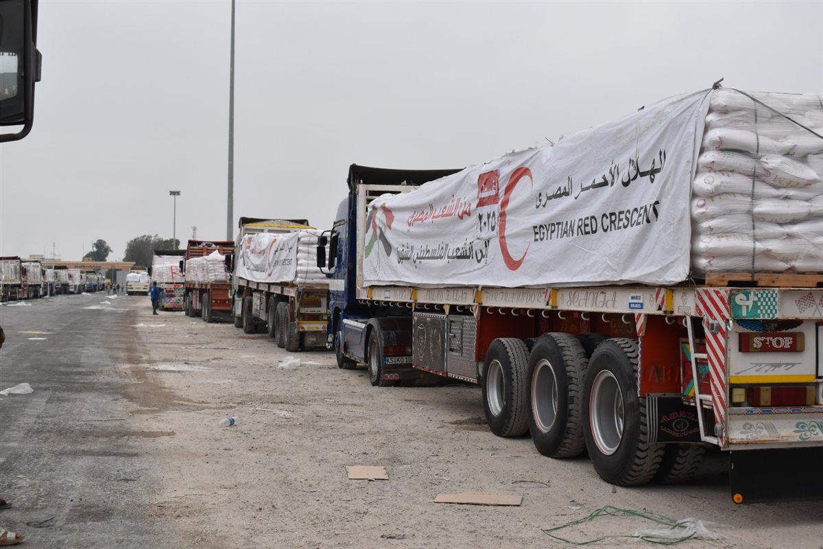  قافلة « زاد العزة.. من مصر إلى غزة»