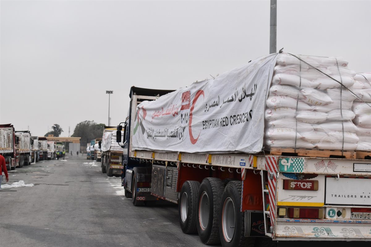  قافلة « زاد العزة.. من مصر إلى غزة»