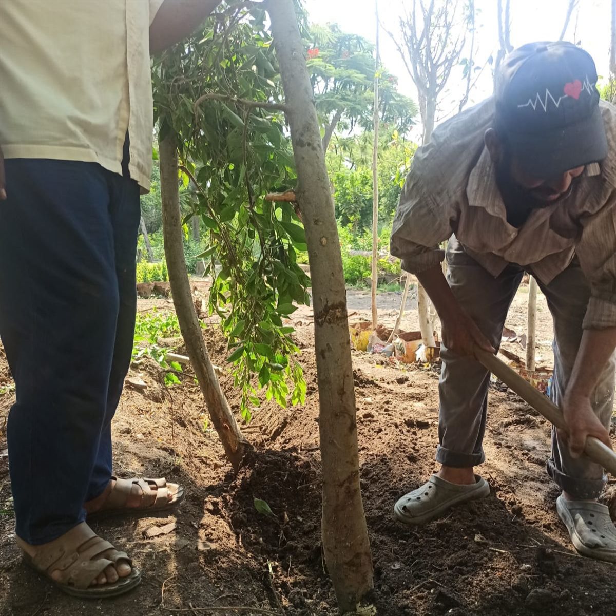 مشتل الإدارة المركزية للحدائق