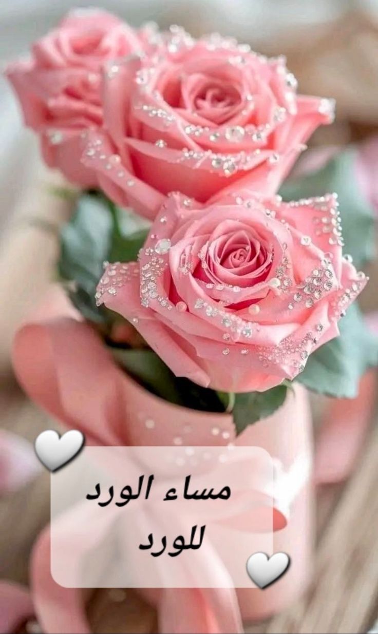 صور مساء الخير مع عبارات راقية