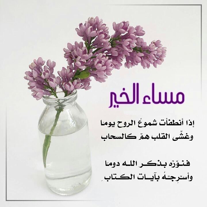 صور مساء الخير مع عبارات راقية