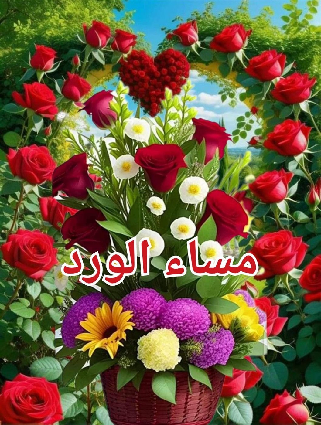 صور مساء الخير مع عبارات راقية