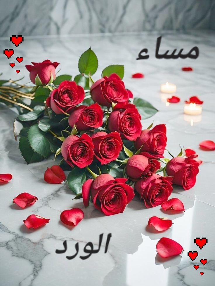 صور مساء الخير مع عبارات راقية