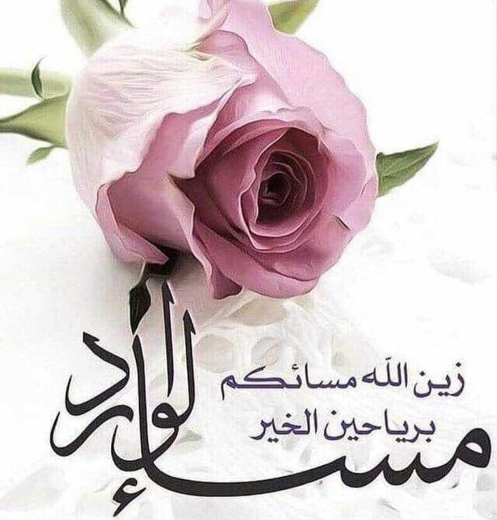 صور مساء الخير