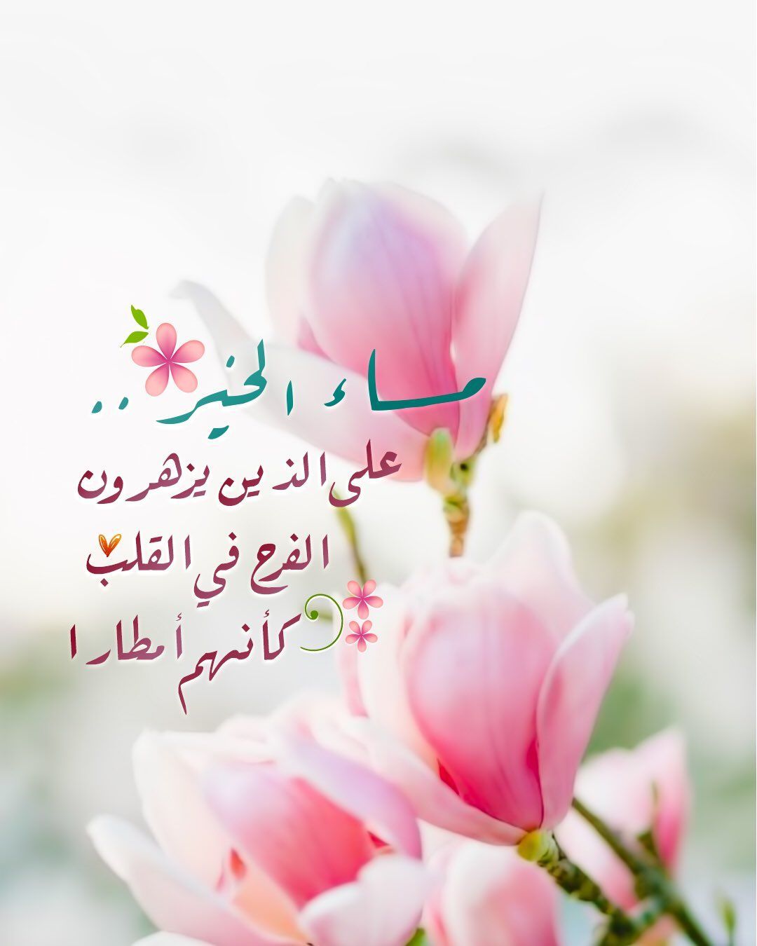 أجمل صور مساء الخير للحبيب