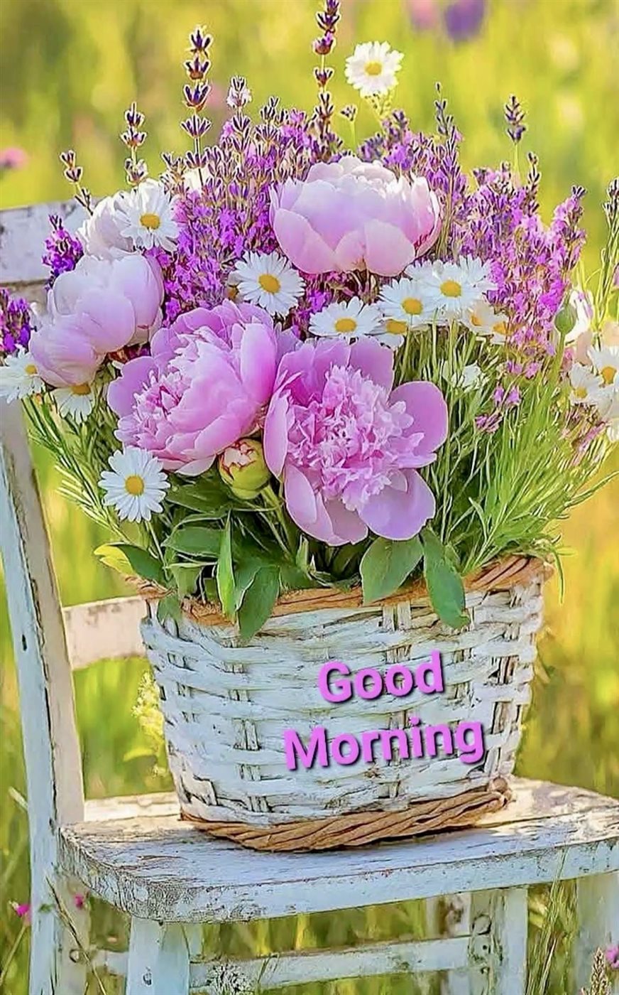 صور ورد طبيعية ملونة