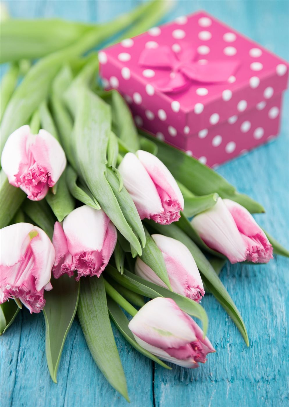 صور ورد طبيعية ملونة