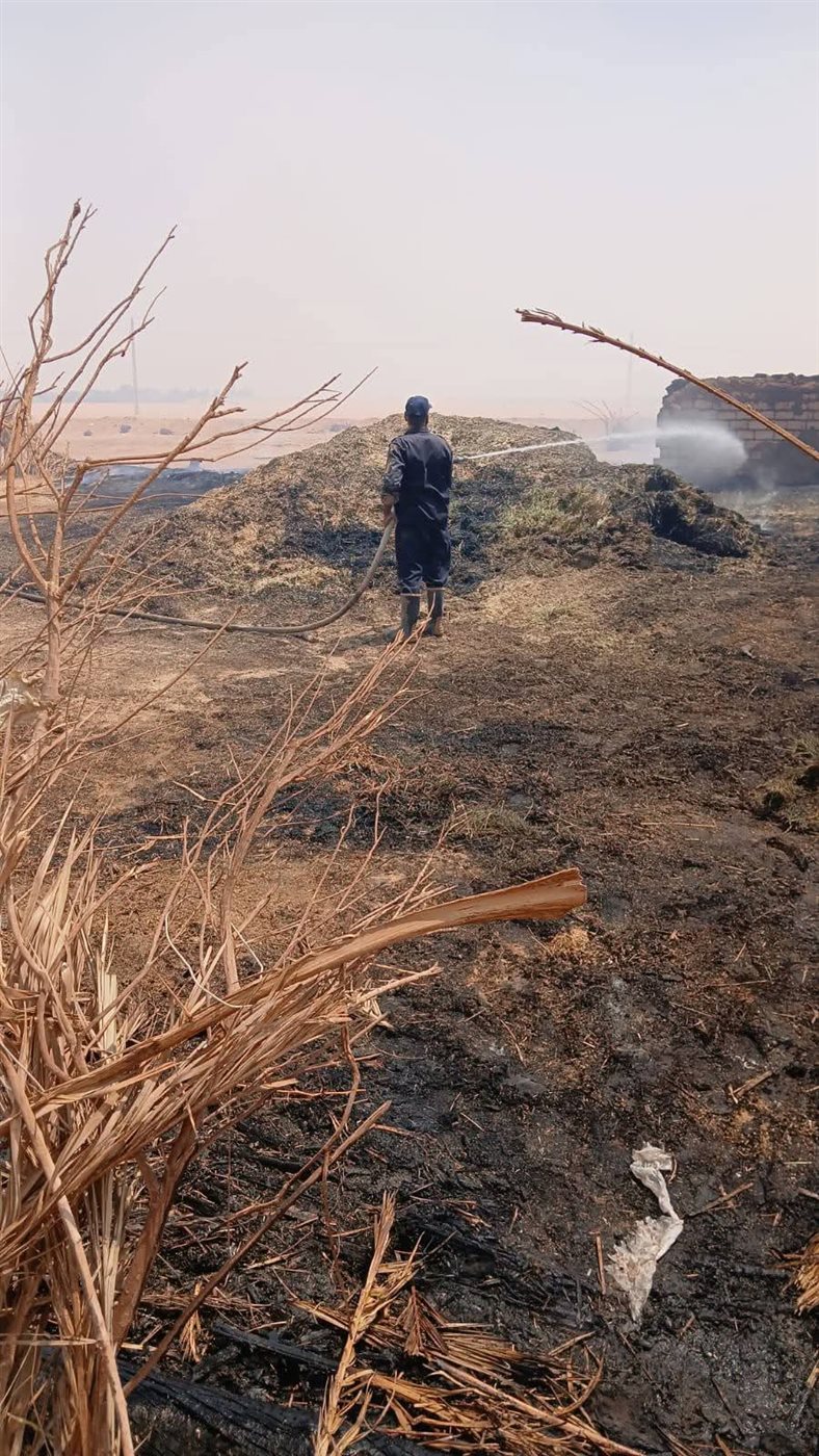 حريق بمزارع نخيل في الوادى الجديد