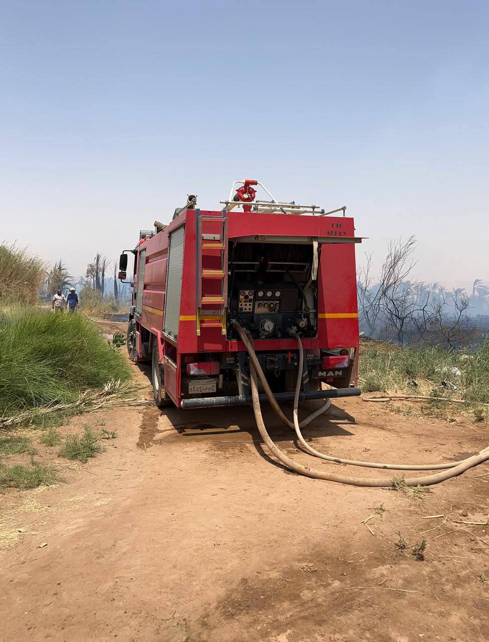 حريق بمزارع نخيل في الوادى الجديد