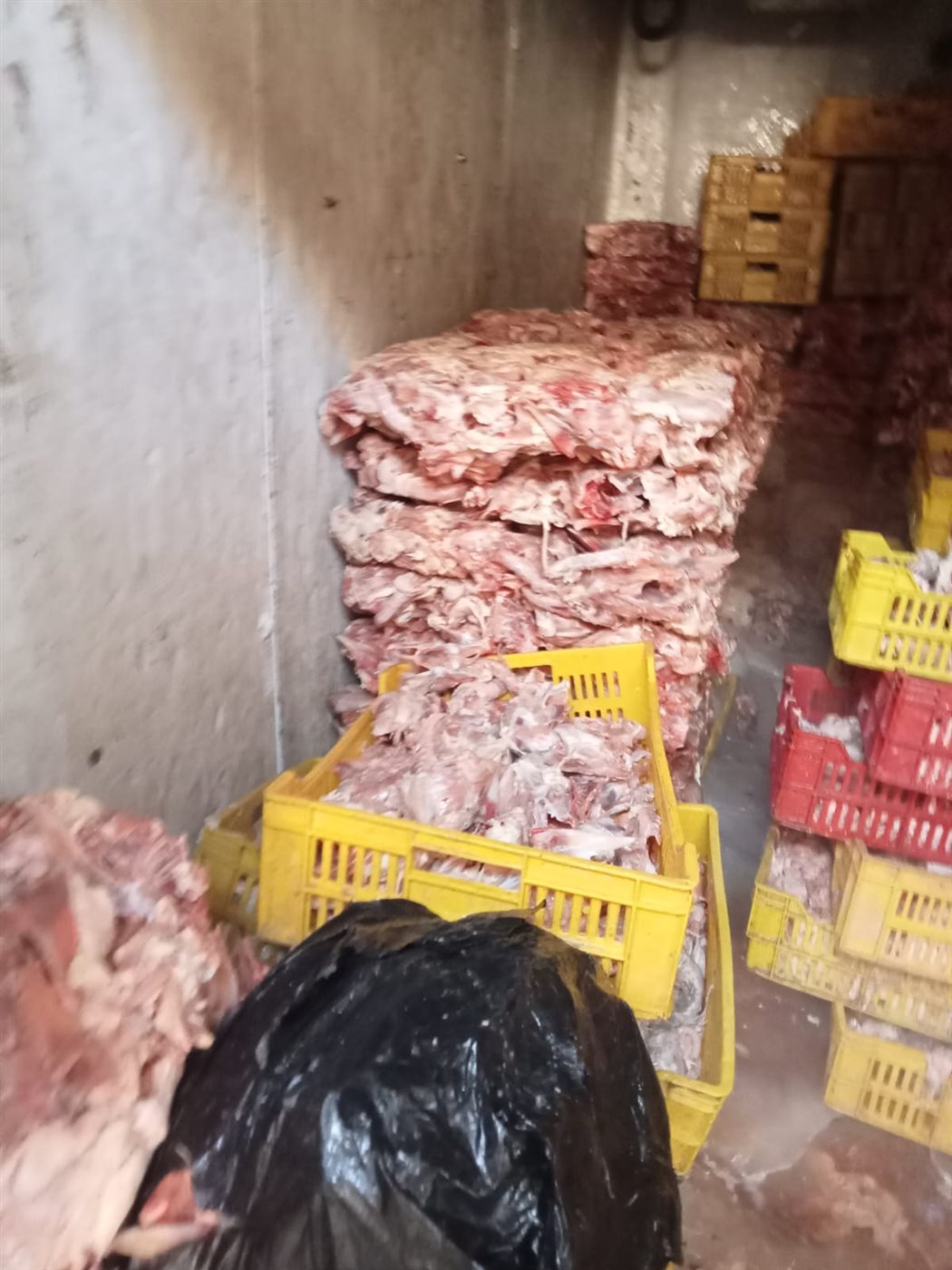 ضبط 10 أطنان من هياكل الدواجن غير الصالحة للاستهلاك الآدمي بكرداسة