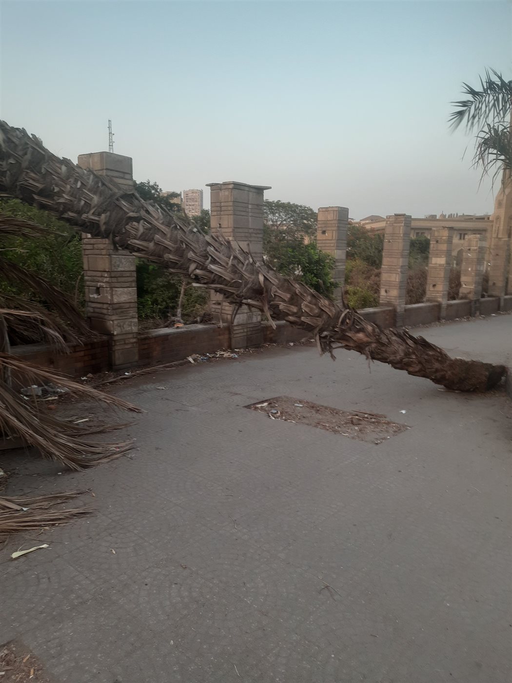 مسرح فاطفة رشدي