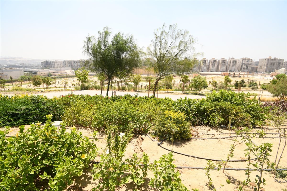 حديقة تلال الفسطاط 
