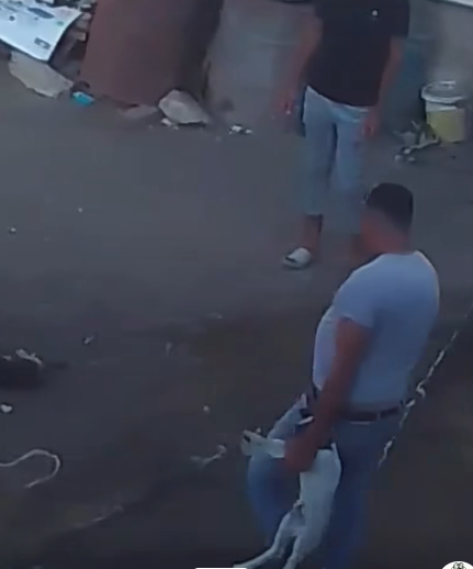 فيديو تعدي شخص علي الحيوانات بطريقة وحشية باستخدام عصا بالقليوبية