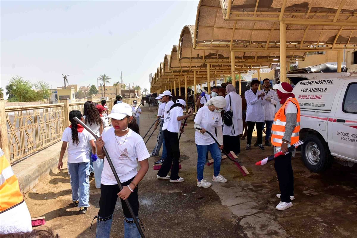 فعاليات مكتبة مصر العامة بالأقصر