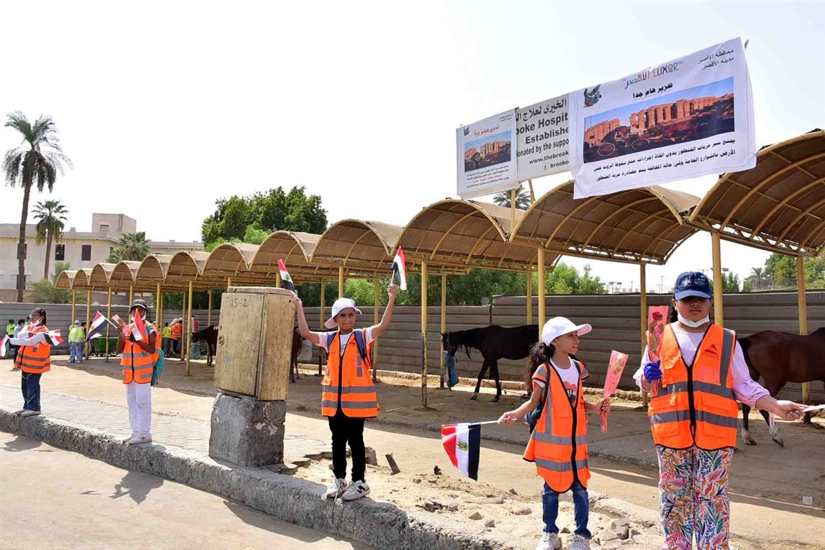 فعاليات مكتبة مصر العامة بالأقصر