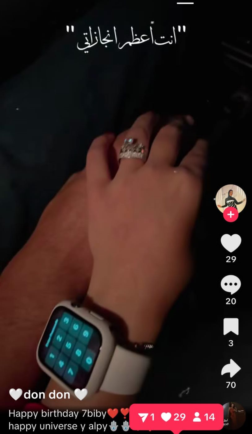 اخر ما نشرت دينا علاء 