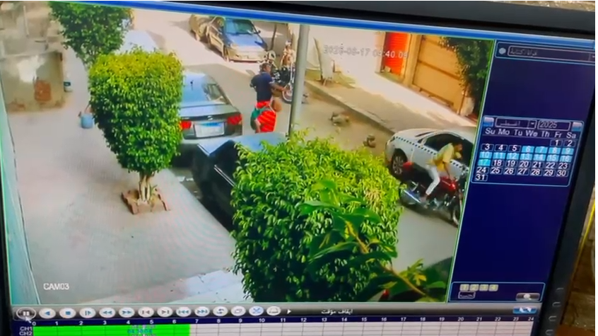 صورة من الفيديو