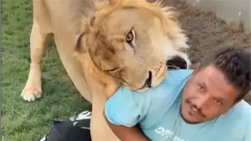  مزاح الأسد مع العامل المصري