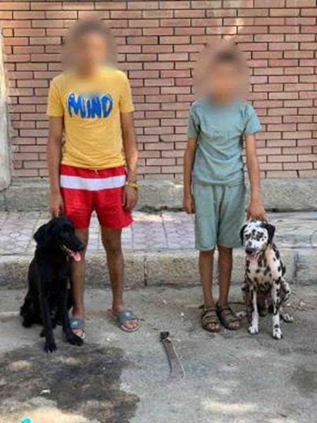 المتهمين والكلبين 